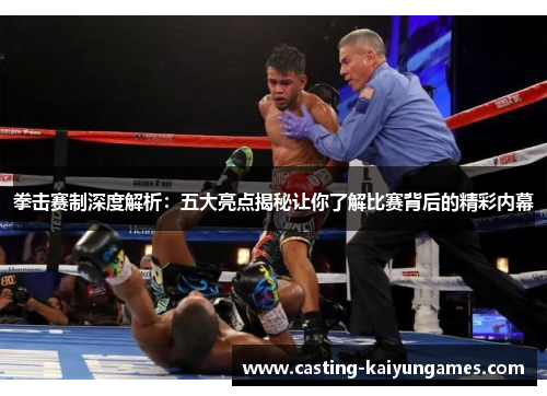 拳击赛制深度解析：五大亮点揭秘让你了解比赛背后的精彩内幕