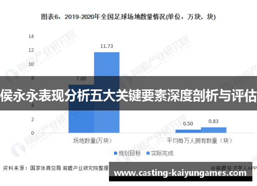 侯永永表现分析五大关键要素深度剖析与评估